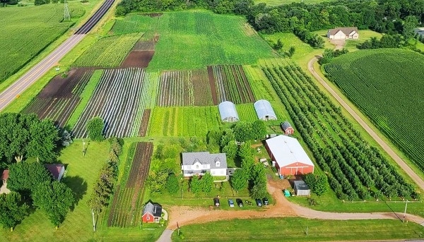 you pick pumpkin patch in Minneapolis