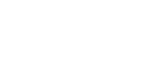 Viking logo